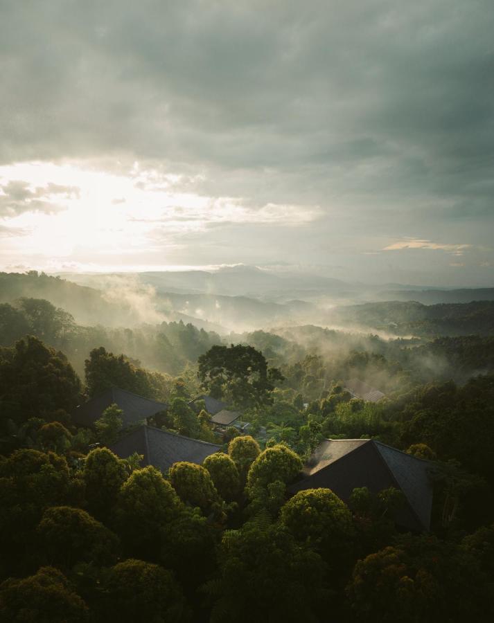Hotel Munduk Cabins 5*